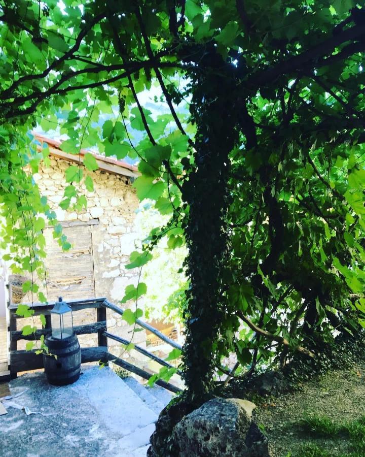 L'Echappee En Vercors Choranche エクステリア 写真